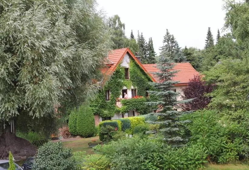 酒店 Pension Haus Holtdirk