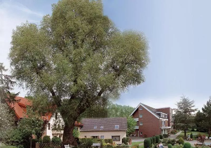 酒店 Pension Haus Holtdirk