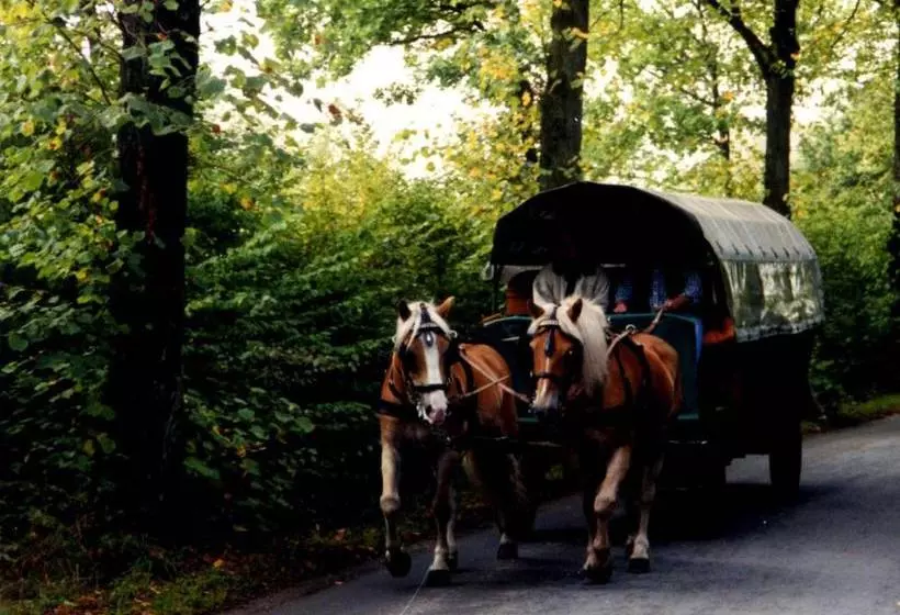 ホテル Schünemann