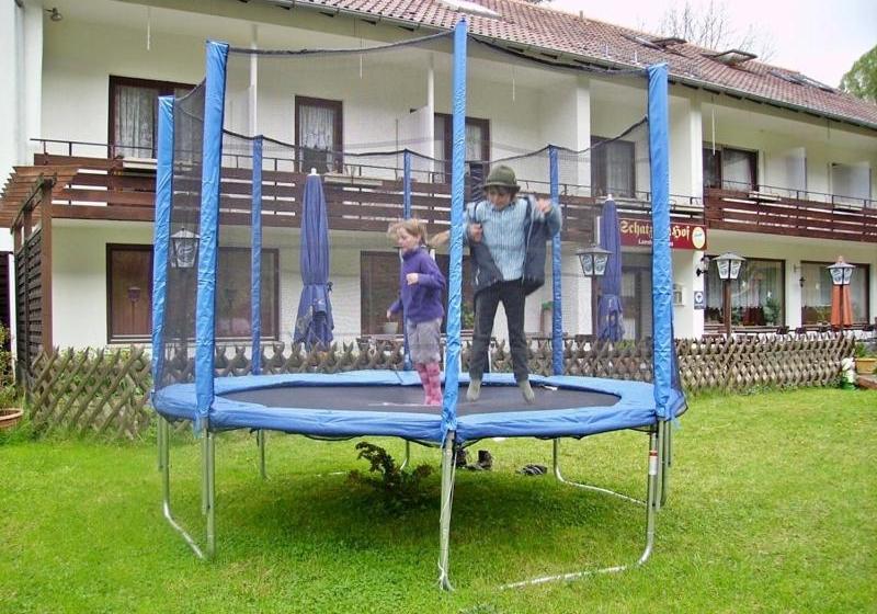 Отель Schatz'n Hof