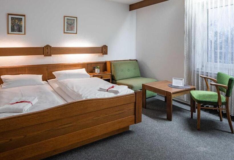 ホテル Wildpferd Dülmen