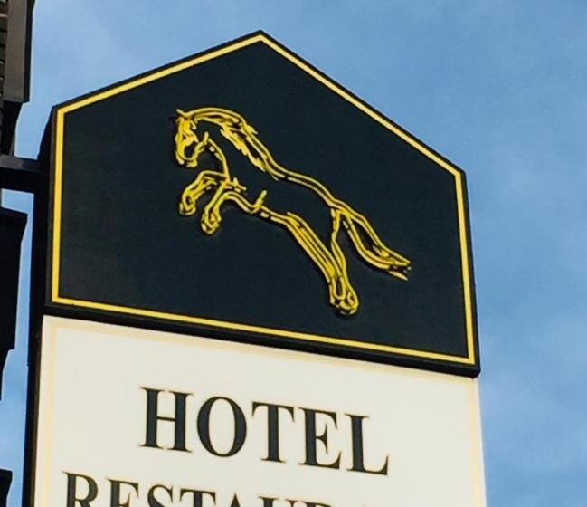 ホテル Wildpferd Dülmen