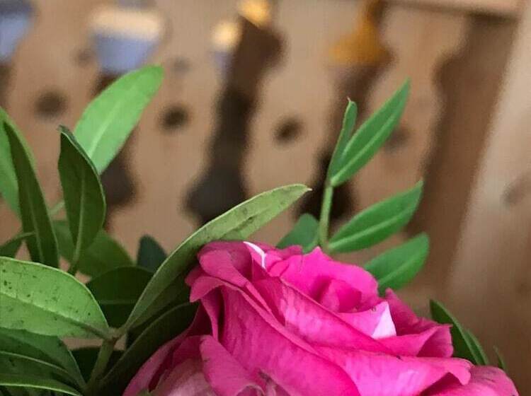 ホテル Wildpferd Dülmen