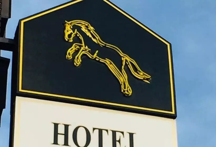 Отель Wildpferd Dülmen