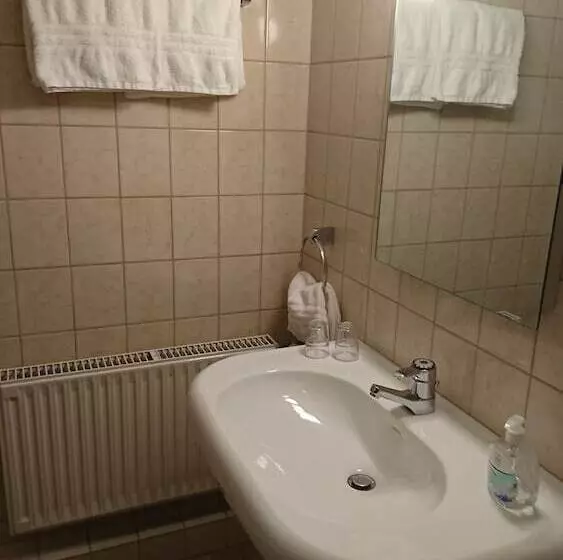 Отель Wildpferd Dülmen