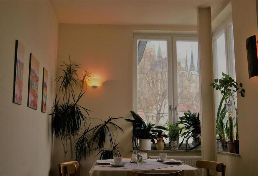 مبيت وإفطار Pension Am Dom