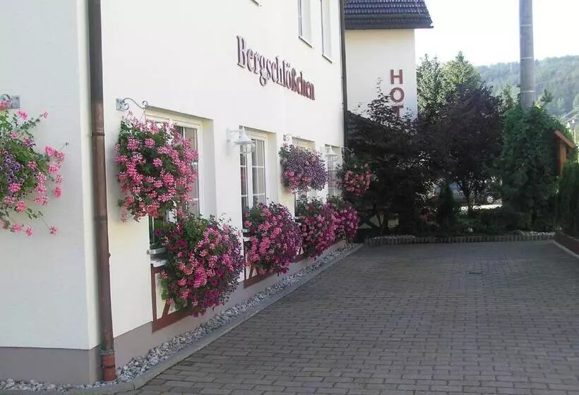 호텔 Bergschlößchen
