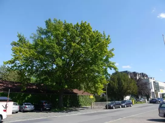 فندق Deutsche Eiche Northeim