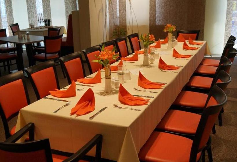 酒店 Goldener Löwe