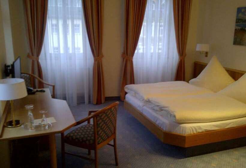 酒店 Goldener Löwe