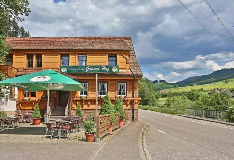 호텔 Grüner Hof