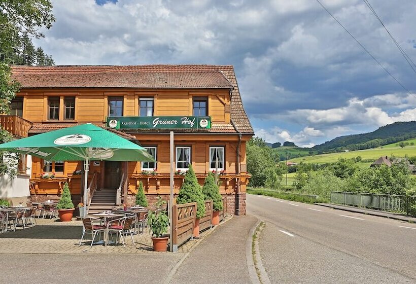 酒店 Grüner Hof