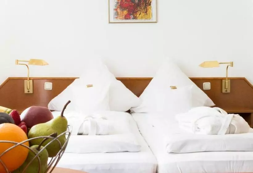 Отель Roemerstein