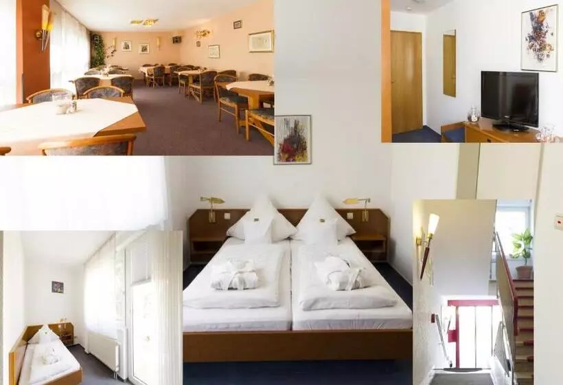 Отель Roemerstein