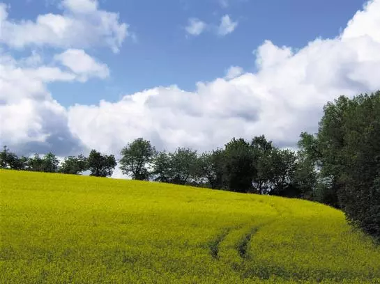 酒店 Schöne Aussicht