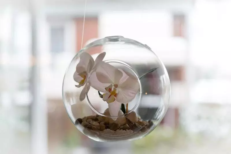 בית מלון כפרי Senator