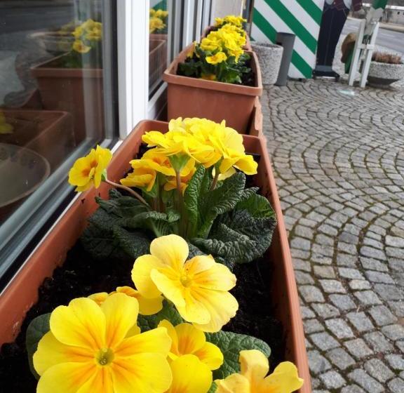 Familienhotel Zur Linde