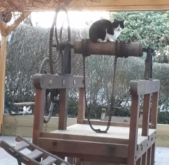 Familienhotel Zur Linde