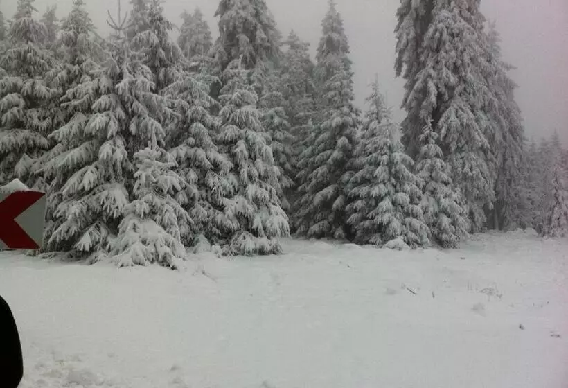 Land Hotel Am Wald Garni