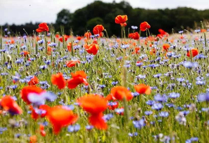 Landhotel Zum Pottkuchen