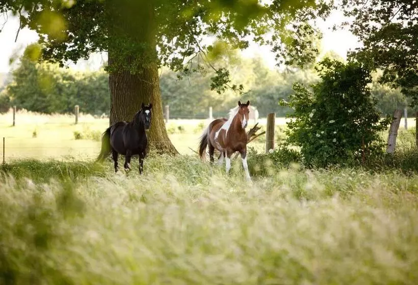 Landhotel Zum Pottkuchen