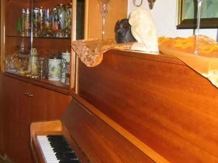 פנסיון Gasthaus Kautz