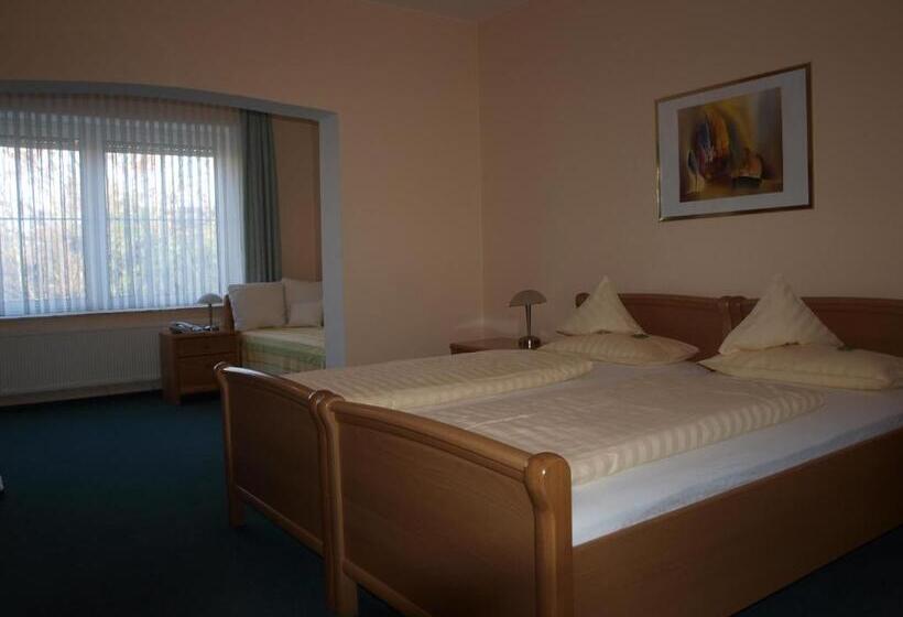 Пансион Societät