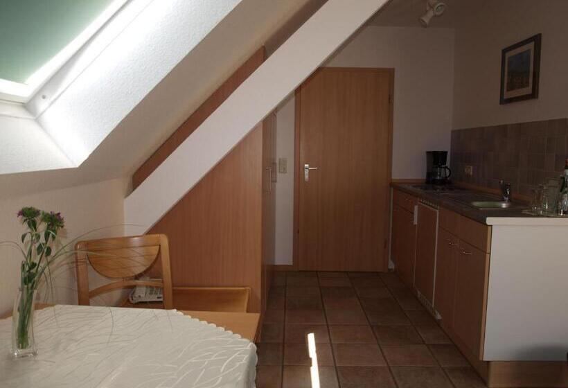 Пансион Societät