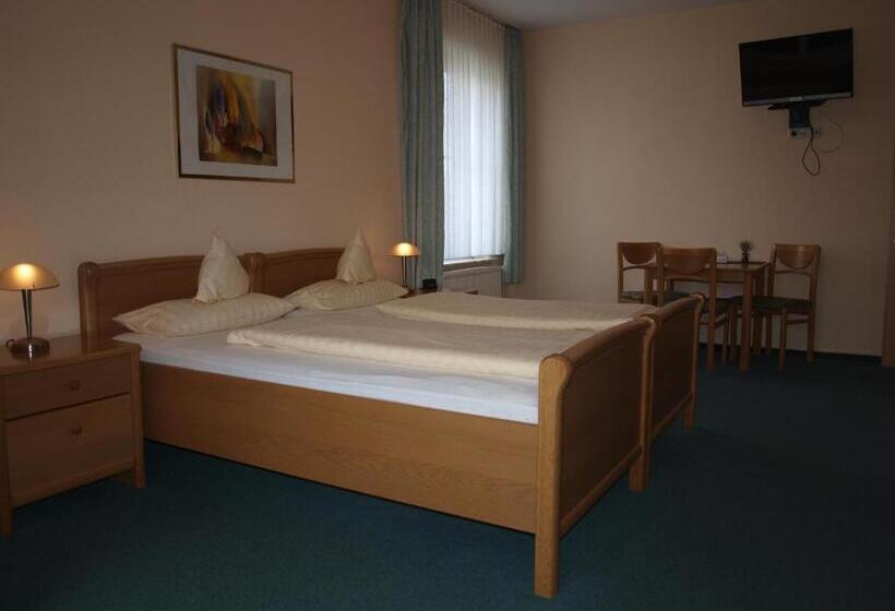 Пансион Societät