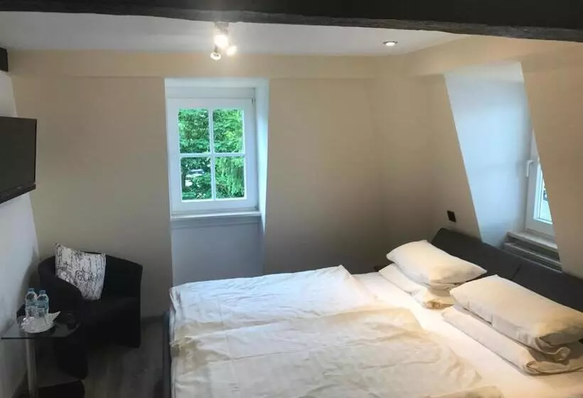 בית מלון כפרי Friedrich