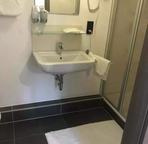 בית מלון כפרי Friedrich