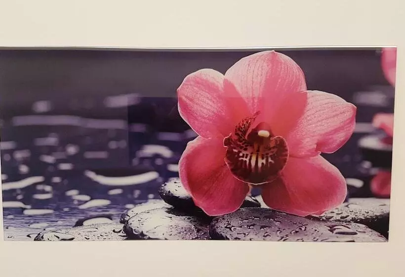 호텔 Garni Jagerhof