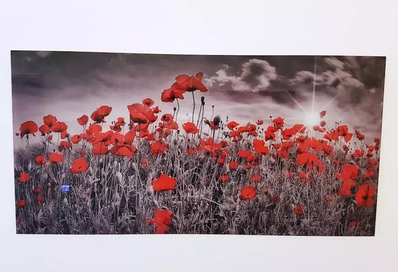 호텔 Garni Jagerhof