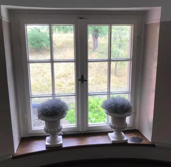 酒店 Gasthaus Schwanen