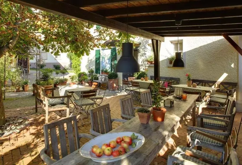 酒店 Gasthaus Schwanen