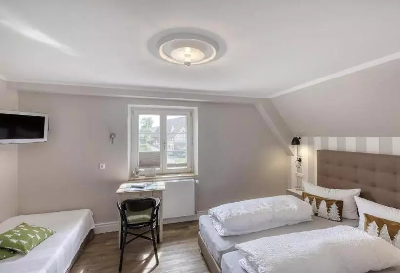 酒店 Gasthaus Schwanen