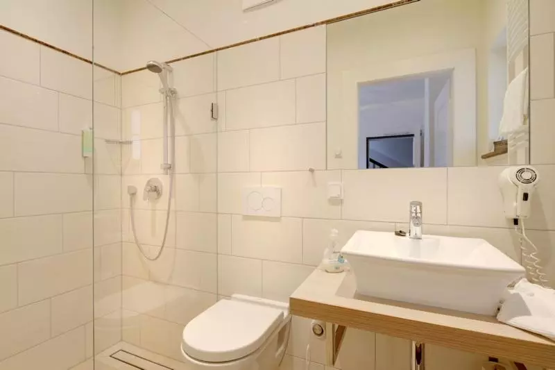 酒店 Gasthaus Schwanen