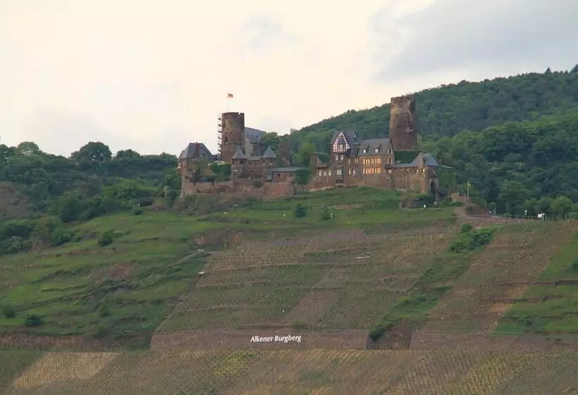 Moselhotel & Restaurant Zur Traube Gmbh