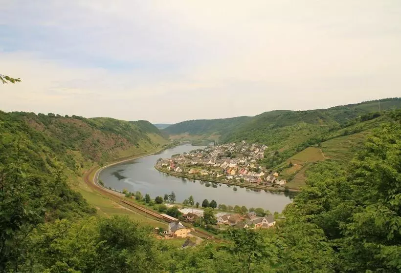 Moselhotel & Restaurant Zur Traube Gmbh