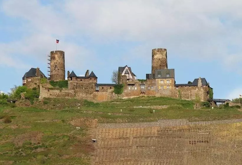 Moselhotel & Restaurant Zur Traube Gmbh