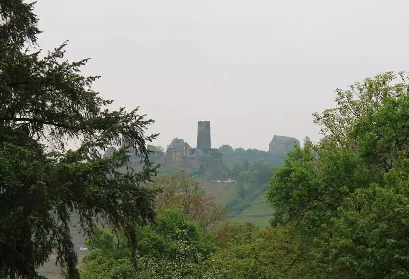 Moselhotel & Restaurant Zur Traube Gmbh