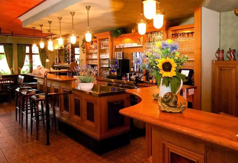 Moselhotel & Restaurant Zur Traube Gmbh