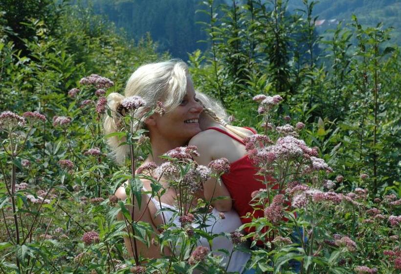 בית מלון כפרי Pension Breig Garni