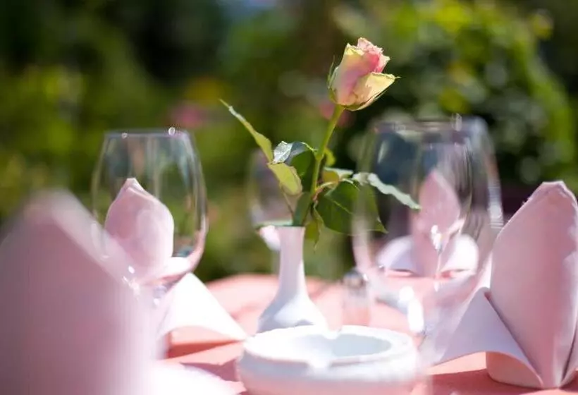 هتل & Restaurant Kleinolbersdorf