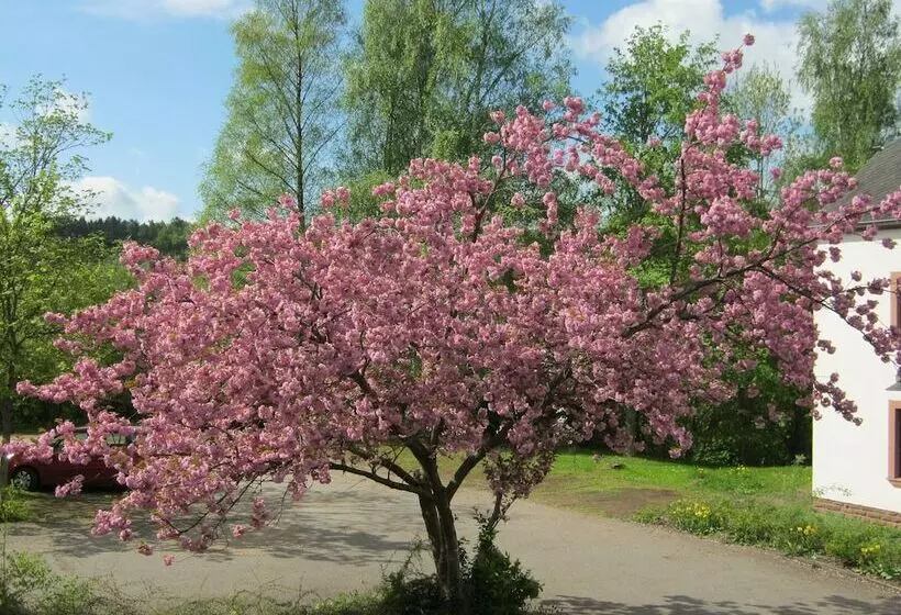 호텔 Stiftsberg Bildungs Und Freizeitzentrum