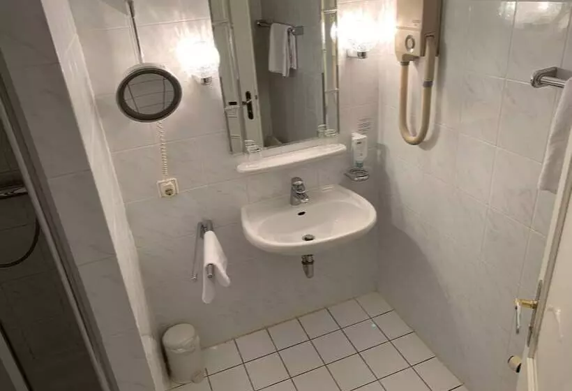 בית מלון כפרי Windsor