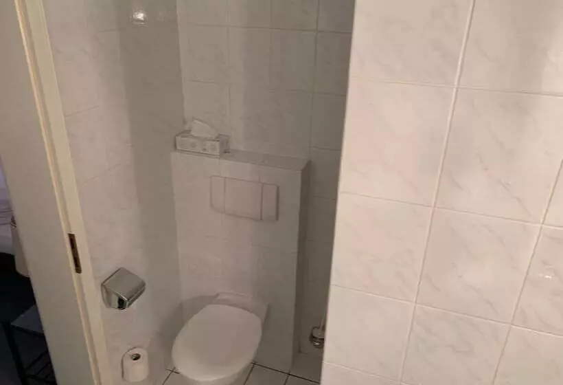 בית מלון כפרי Windsor