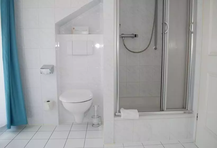 בית מלון כפרי Windsor