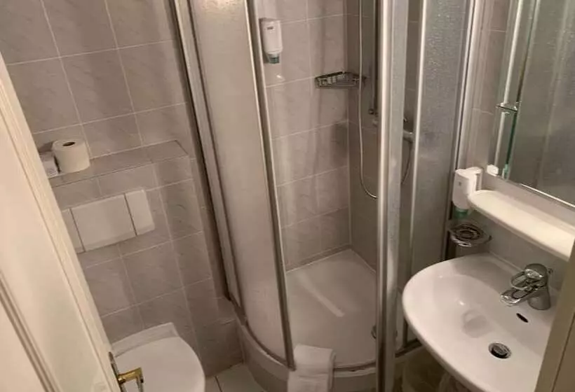 בית מלון כפרי Windsor