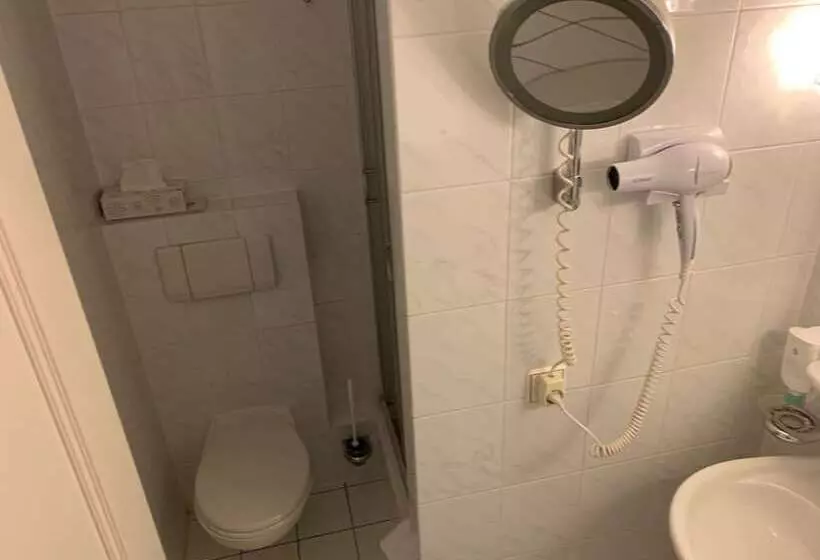 בית מלון כפרי Windsor